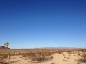 Photo Aug 24, 7 31 27 AM